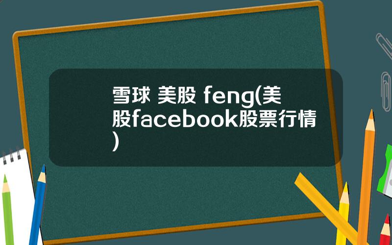 雪球 美股 feng(美股facebook股票行情)